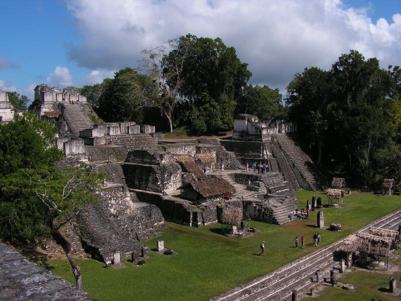 7884 Tikal 